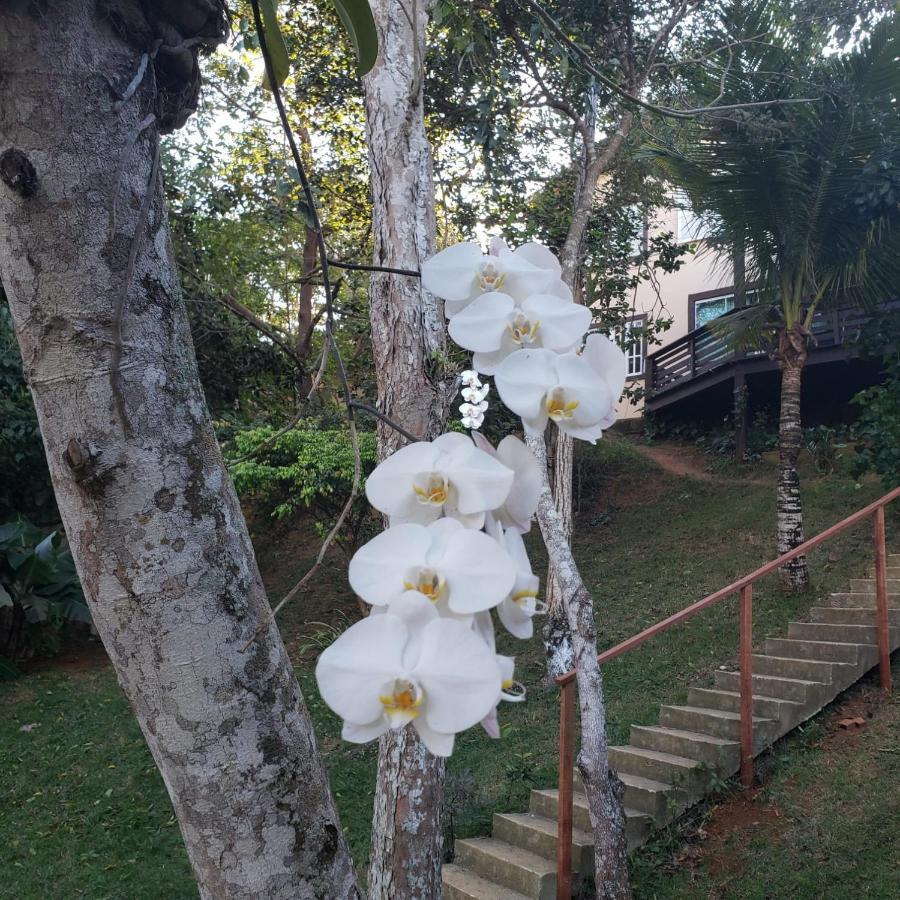 Recanto Da Ferradura Hotel Armacao dos Buzios Luaran gambar